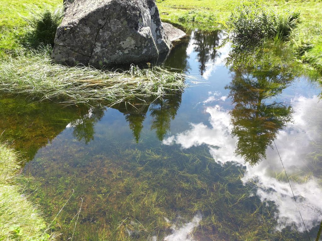 B&B Villa Ca'Praja Daone Bagian luar foto