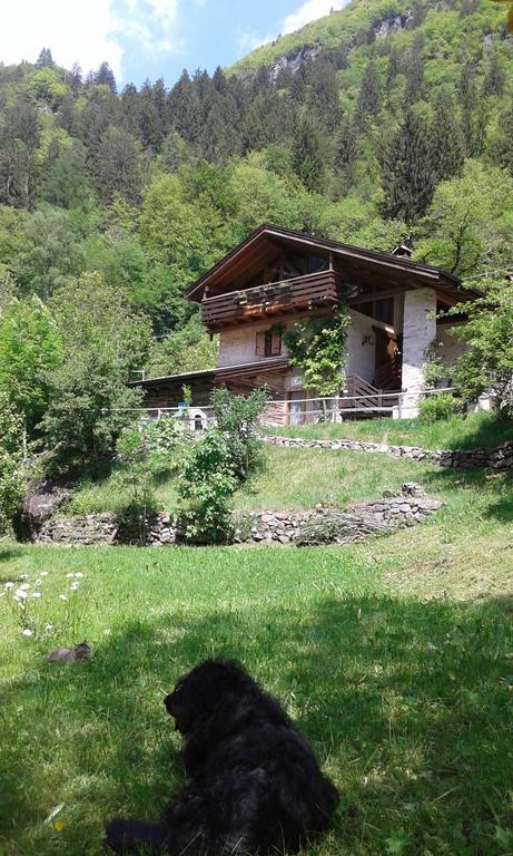 B&B Villa Ca'Praja Daone Bagian luar foto